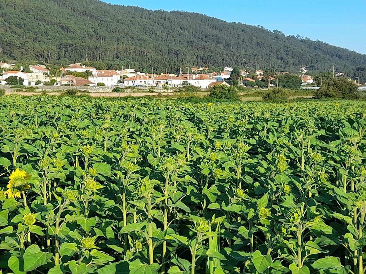 Casa Da Varanda Bed & Breakfast